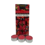 42186 Caisse de 10 Bougies Chauffe-Plat Parfum Fruits – Ambiance Senteur Gourmande