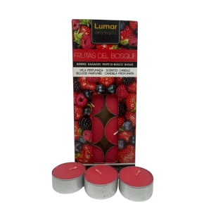 42186 Caisse de 10 Bougies Chauffe-Plat Parfum Fruits – Ambiance Senteur Gourmande