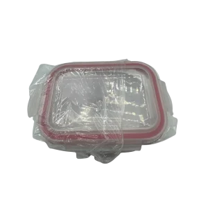 NG FH 01 RT Boîte de Rangement – Boîte Hermétique Rectangulaire, Solide et Pratique pour la Conservation