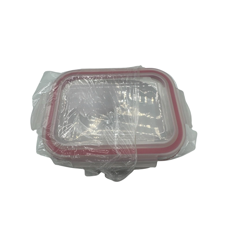NG FH 01 RT Boîte de Rangement – Boîte Hermétique Rectangulaire, Solide et Pratique pour la Conservation