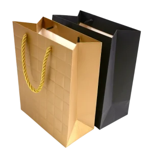 SAC EN PAPIER TR45-20 – Sac Cadeau Élégant 18x23CM en Papier Rigide avec Poignée Tressée