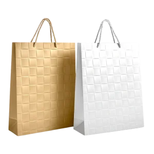 SAC EN PAPIER TR47-20 – Grand Sac Cadeau 30x40CM en Papier Rigide avec Poignée Tressée