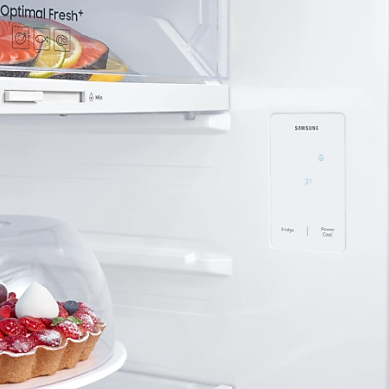 Samsung RT38CG6400S9MA Réfrigérateur Inox 388L – SpaceMax™, Optimal Fresh+ et Digital Inverter No Frost – Image 2