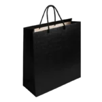 Sac papier TR48-20 50x40cm
