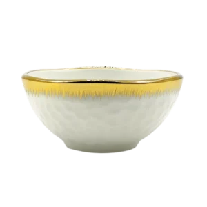 DR-BOL030-24 Bol en Verre - Produit Electromax Maroc